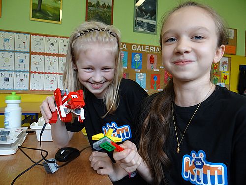 gorillaaniaemi2018tgy