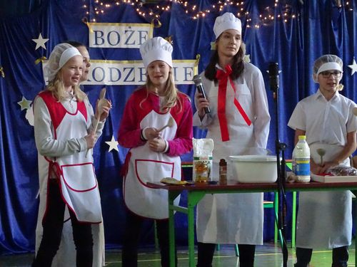 jaselka2019frtgte455