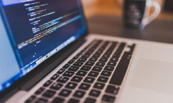 orzelkonkuras20202rtyr5