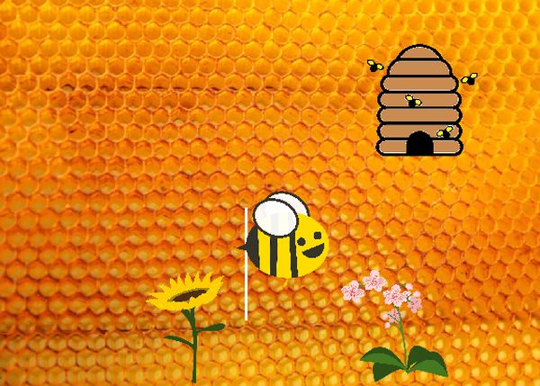 projektpszczola2020dertgf